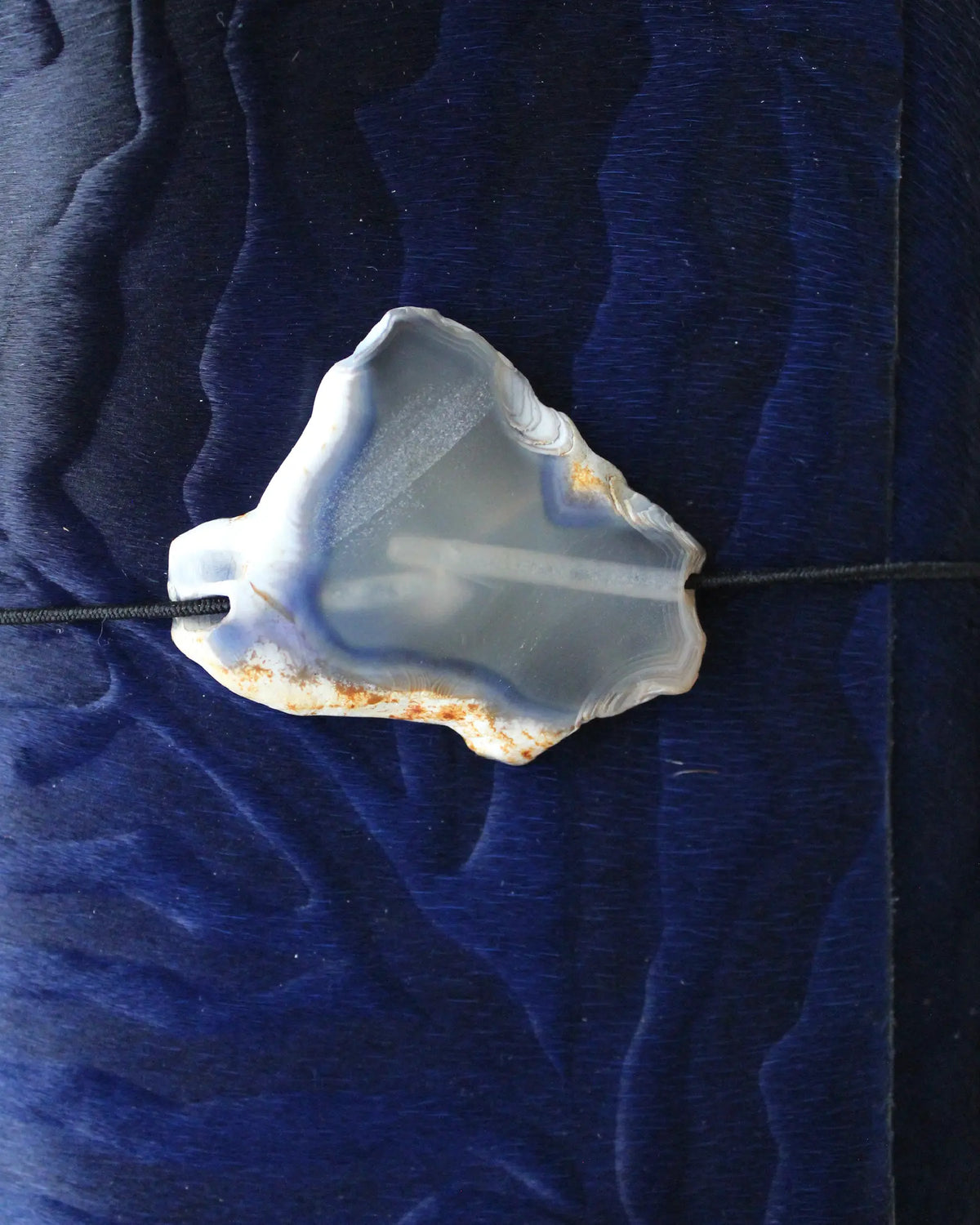 Cebra azul