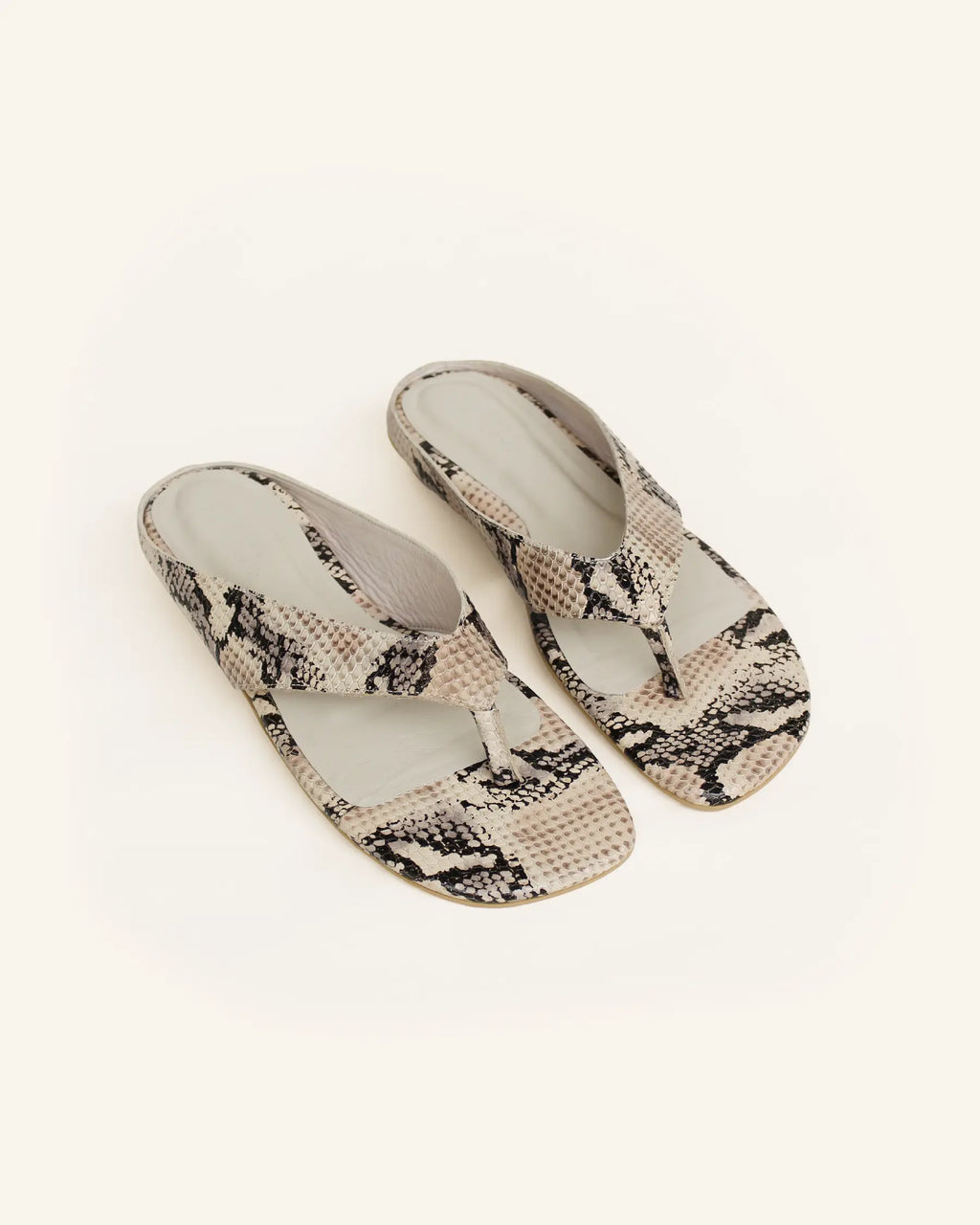 reptilia beige