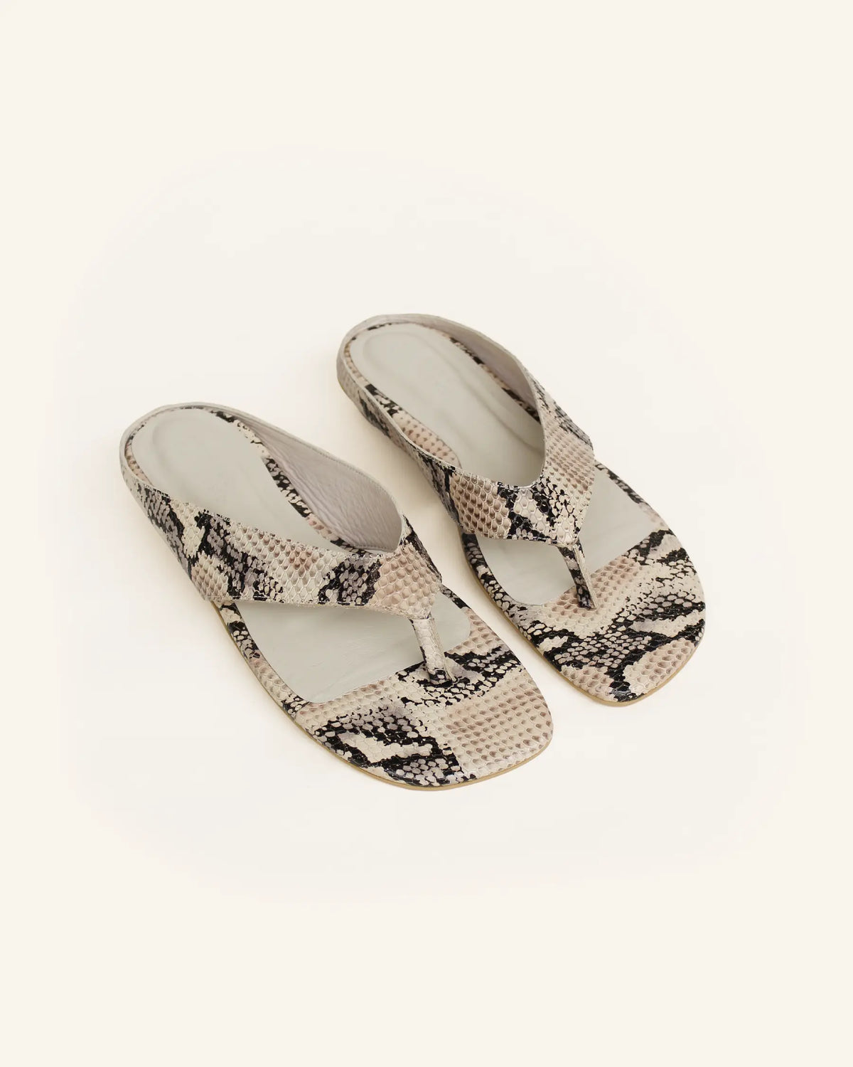 reptilia beige