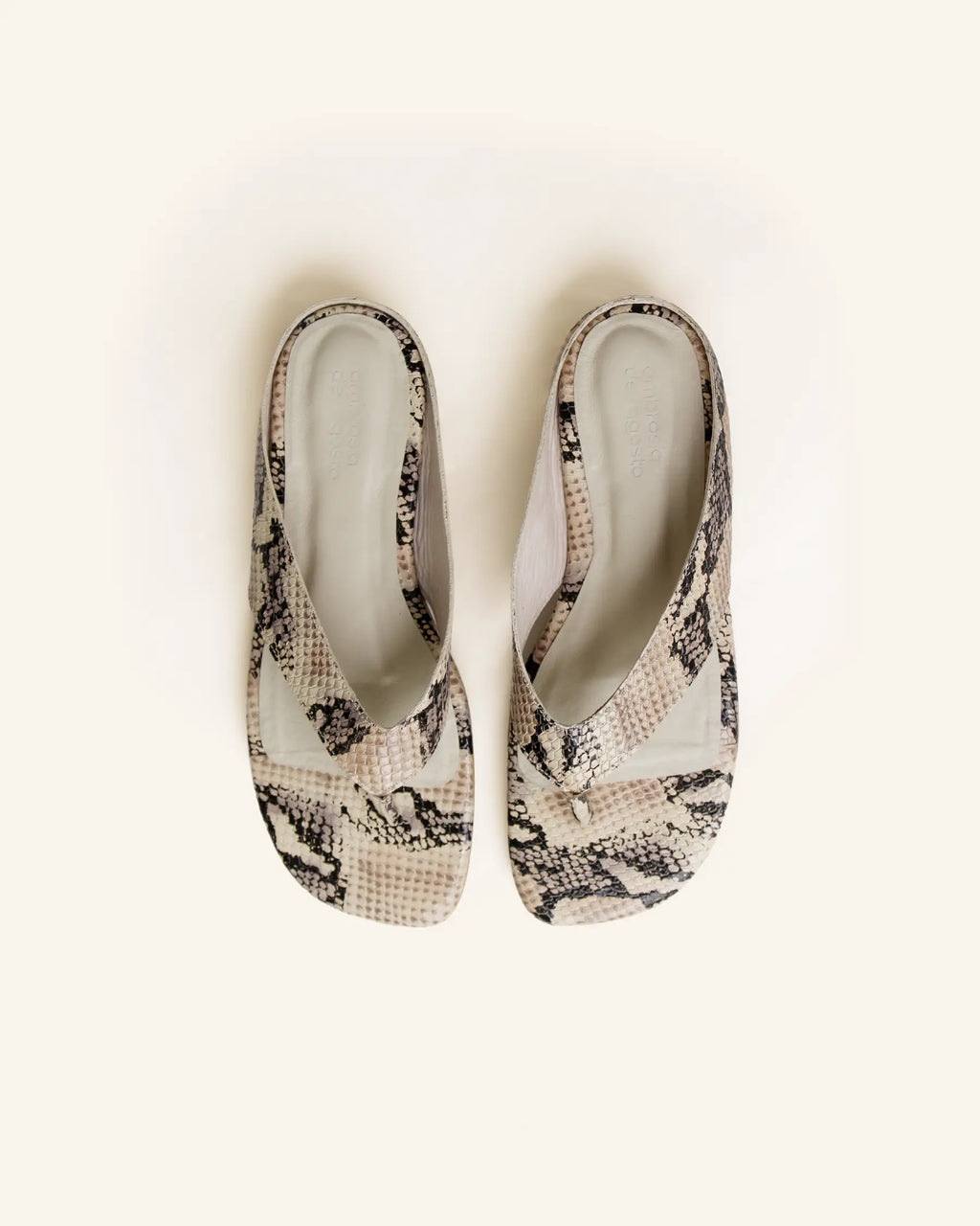 reptilia beige