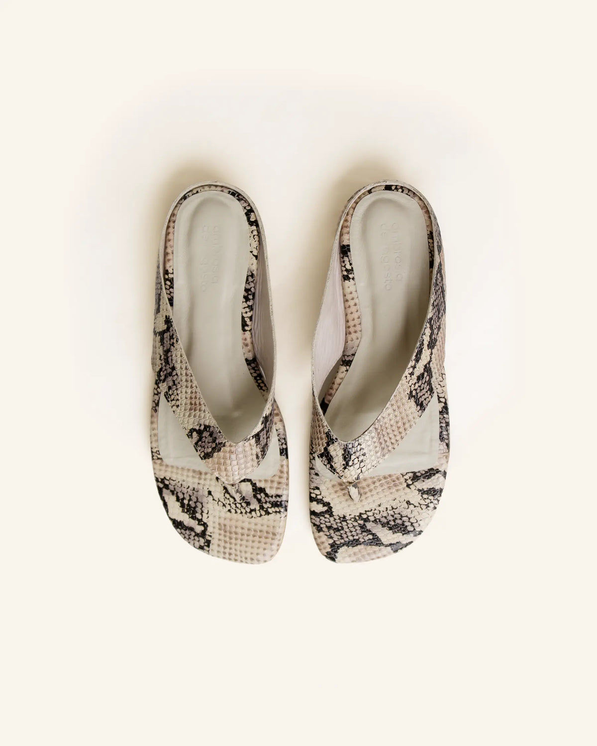 reptilia beige