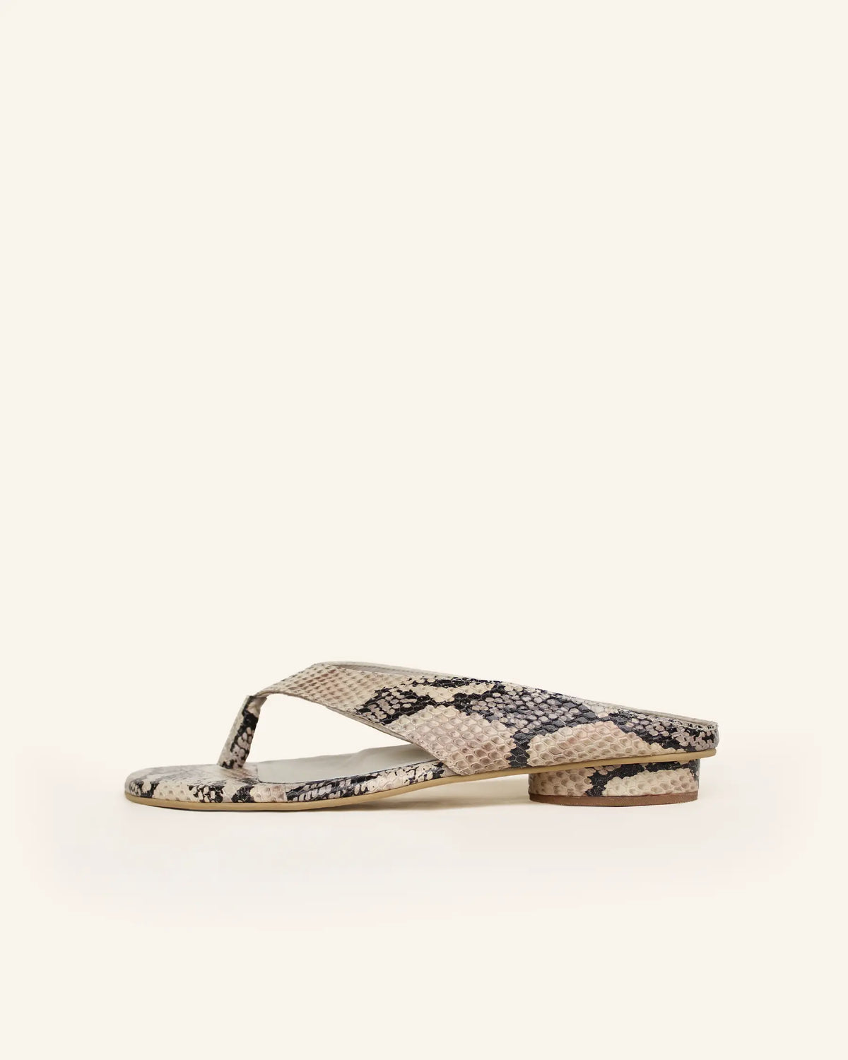 reptilia beige